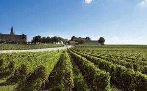 那布內莊園 那布內莊園