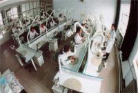 泊頭市衛生學校 泊頭市衛生學校