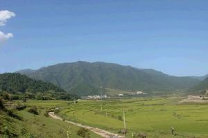 高樹根河自然村