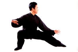 王其和式太極拳 王其和式太極拳