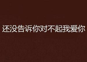 還沒告訴你對不起我愛你 還沒告訴你對不起我愛你