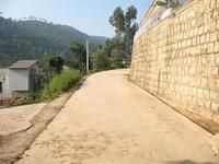 村內道路