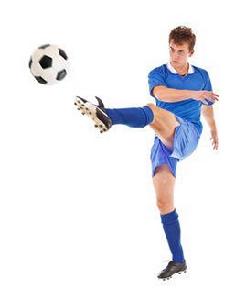 馬奧尼諾 馬奧尼諾