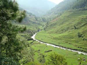 田房自然村[雲南省普洱景東彝族自治縣錦屏鎮菜戶村委會]