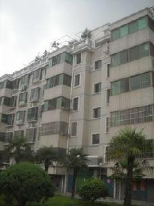 新城花園 新城花園