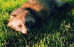 大興安嶺資源館 大興安嶺資源館