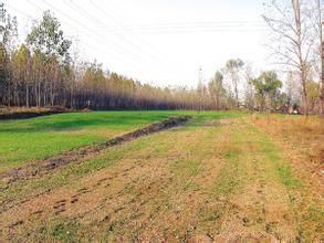 呂家大莊村 呂家大莊村