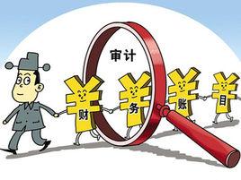 稅務審計報告 稅務審計報告