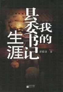 我的縣委書記生涯 我的縣委書記生涯