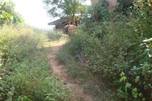 大過脈自然村 大過脈自然村