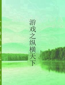 遊戲之縱橫天下 遊戲之縱橫天下
