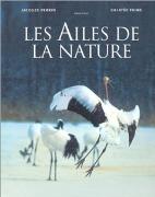 《大自然的翅膀》 《大自然的翅膀》