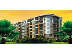 龍騰百花園 龍騰百花園