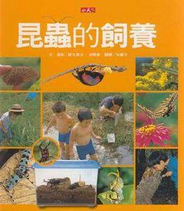 昆蟲的飼養 昆蟲的飼養