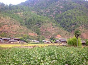 新龍溝自然村 新龍溝自然村