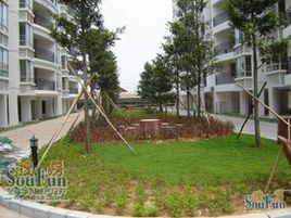 南寧市二十中學 南寧市二十中學