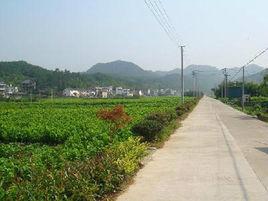 樂平鄉[浙江省臨安市下轄鄉]