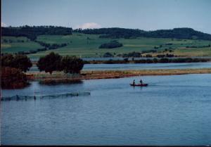 雁鳴湖國家級自然保護區