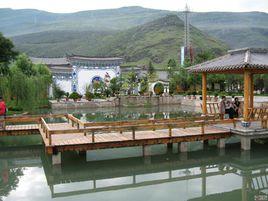 新華村[雲南省昆明倘甸鎮新華村委會]