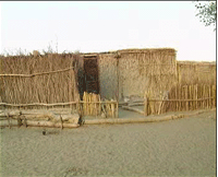 達里雅布依民俗村