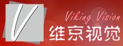 維京視覺