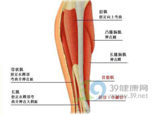 兒童急性良性肌炎 兒童急性良性肌炎
