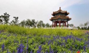 北京海子公園