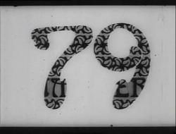 《79個春天》 《79個春天》