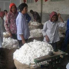 棉花收購加工與市場管理暫行辦法