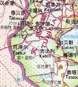 托澤爾省是突尼西亞西部的一個省，西鄰阿爾及利亞