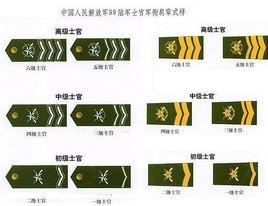 四級軍士長 四級軍士長