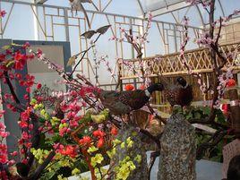 安陽臘梅園 安陽臘梅園