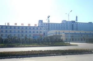 五得利集團禹城麵粉有限公司