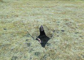 量子隱身衣 量子隱身衣