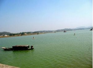 九洲麗影 九洲麗影