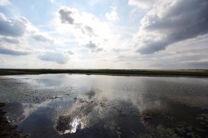 苦池水庫 苦池水庫