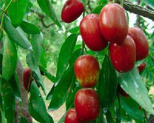 行銷7堂課 行銷7堂課