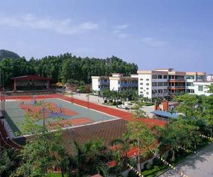 番禺沙灣實驗國小 番禺沙灣實驗國小