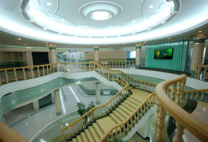 朝鮮紋繡康復療養院