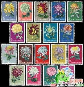（圖）菊花特種郵票
