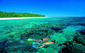 美國夏威夷瓦胡島風光