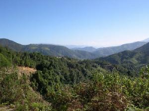 石洞朗尖自然村－村寨全貌<a name="ref_[1]"></a>