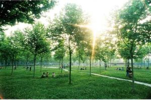 臨城縣臨城中學