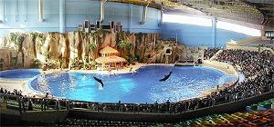 太平洋海底世界