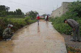 長沙村[廣東省廣州市番禺區橫瀝鎮長沙村]