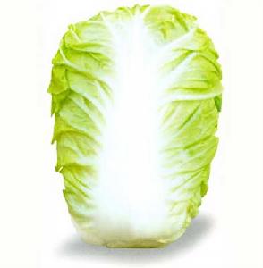 淄研熱抗王 淄研熱抗王