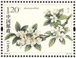 海棠花[中國郵政2018年3月25日發行的特種郵票]