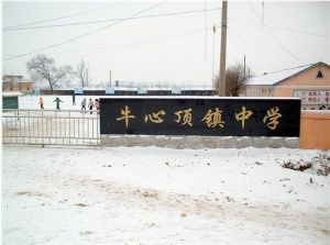 梅河口市牛心頂鎮中心中學 梅河口市牛心頂鎮中心中學