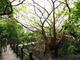 半屏山自然公園 半屏山自然公園
