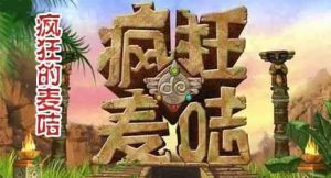 瘋狂的麥咭第二季